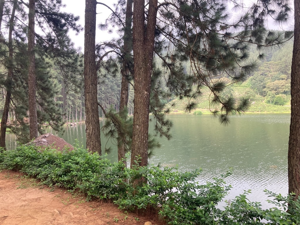 Sembuwatte Lake & Tea Estate